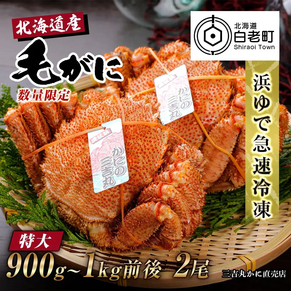 【特大】北海道産 冷凍ボイル毛ガニ (900g-1kg前後) 2尾 AS120