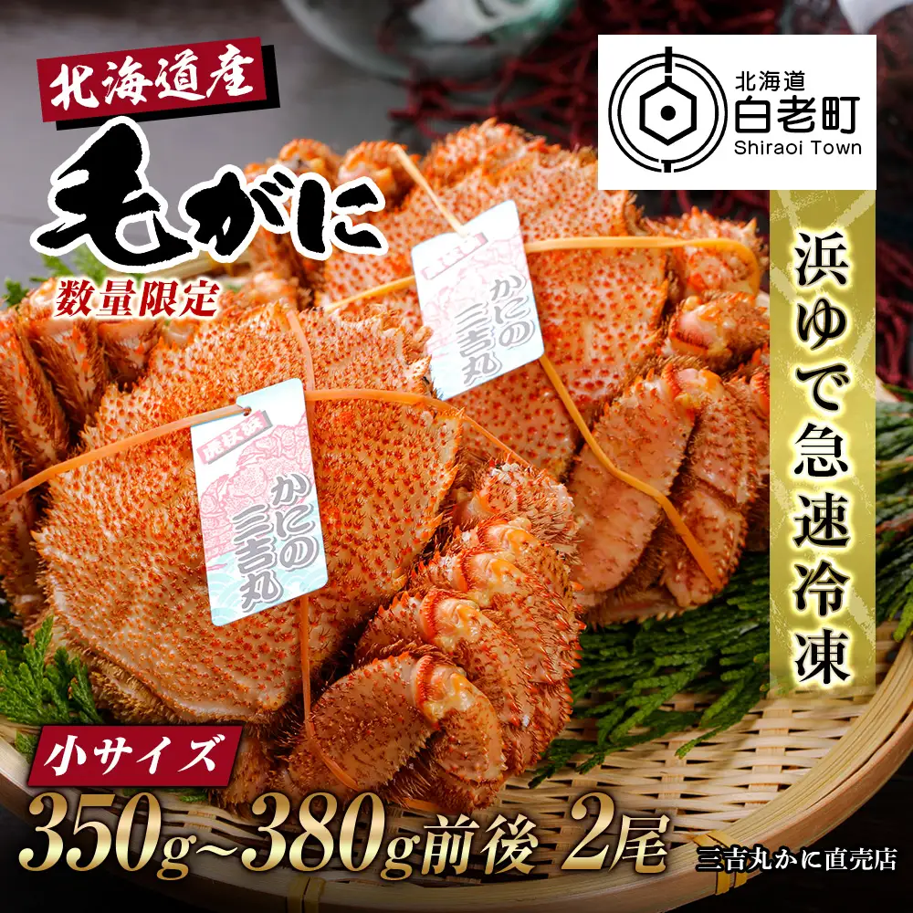 【小サイズ】北海道産 冷凍ボイル毛ガニ (350g-380g前後) 2尾 AS086