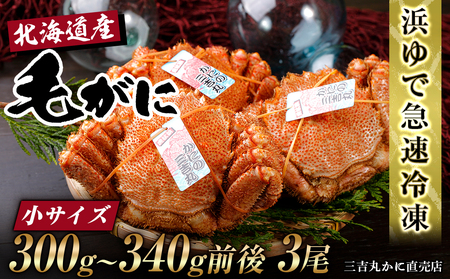 【小サイズ】北海道産 冷凍ボイル毛ガニ (300g-340g前後) 3尾 AS089