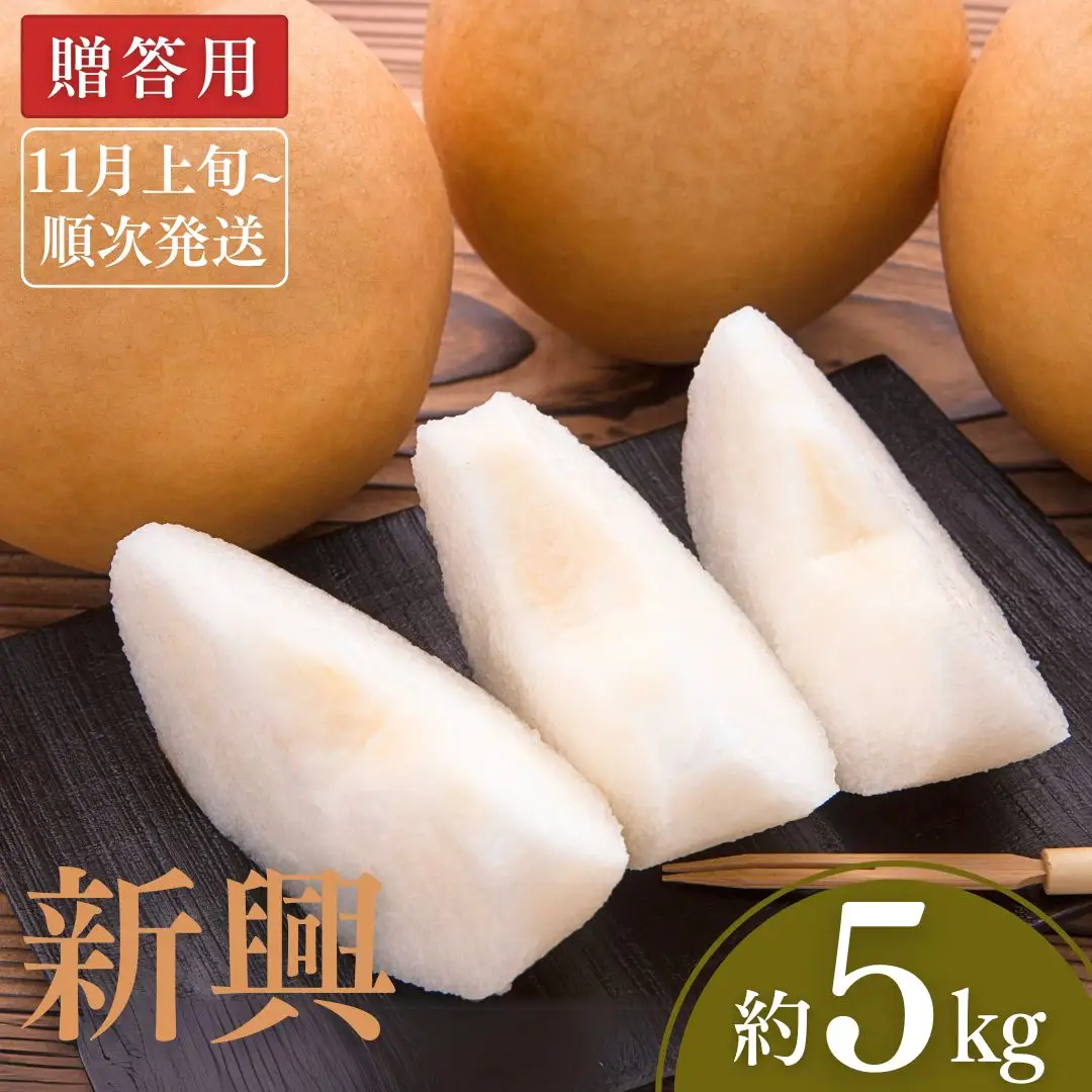 先行予約 新興梨 約5kg [新興 11月下旬から発送予定] 新潟県 新興 三条市産 新興 梨 [小林農園]