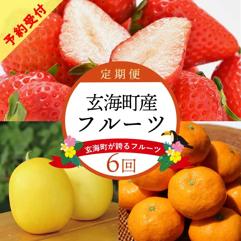 【6回定期便】旬のフルーツ定期便 ／ いちご キンショウメロン みかん 果物【Z020】