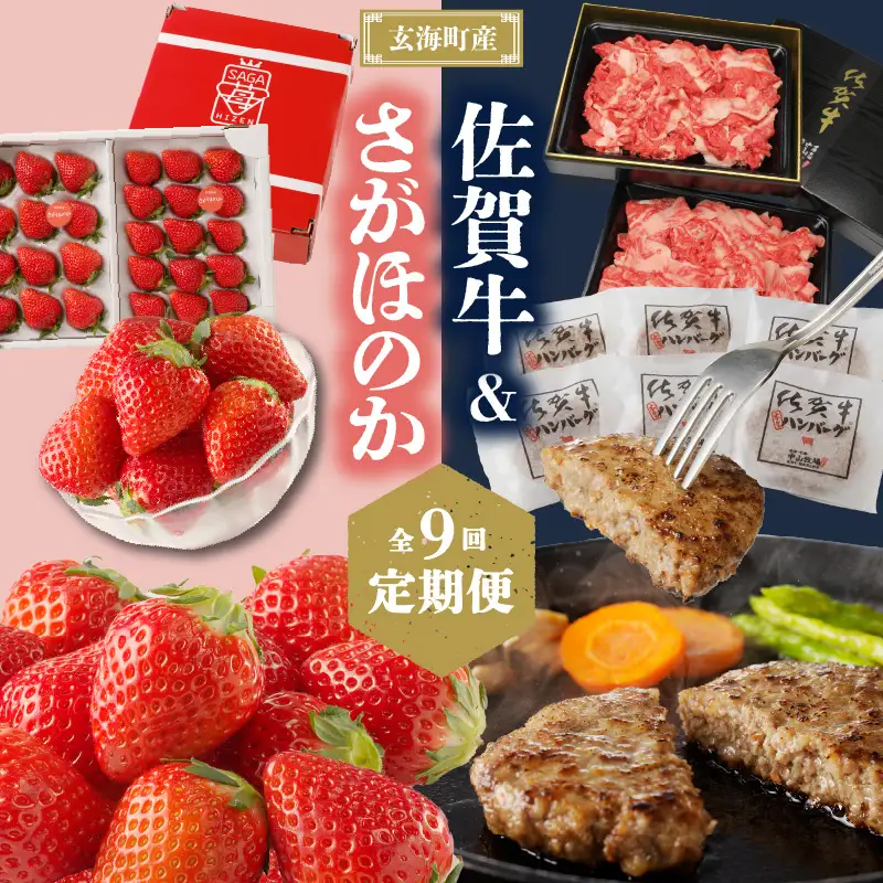 【9回定期便】玄海町産さがほのか＆佐賀牛 定期便 ／ いちご ハンバーグ 肉【Z025】