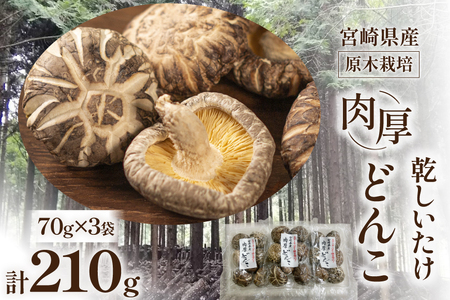 宮崎県産 原木栽培 乾しいたけ 肉厚 どんこ 70g 3袋 計210g [本吉 宮崎県 日向市 452061462]