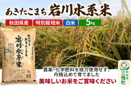 【白米】あきたこまち 岩川水系米 5kg(5kg×1袋) 令和7年産  