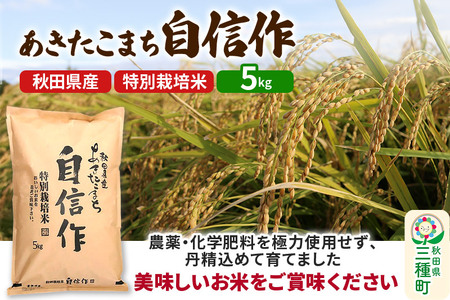 【白米】あきたこまち 自信作 5kg(5kg×1袋) 令和7年産  