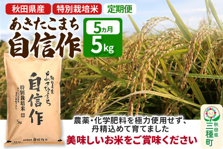 《定期便5ヶ月》【白米】あきたこまち 自信作 5kg(5kg×1袋)×5回 令和7年産  