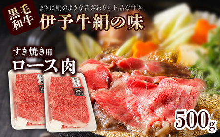 伊予牛絹の味 すき焼き用 ロース 500ｇ (冷凍)｜ 黒毛和牛 A4～A5