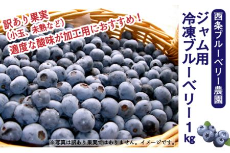 【先行予約】冷凍ブルーベリー 1㎏ 訳あり･ジャム用 | フルーツ 果物 ベリー