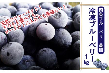 【先行予約】冷凍ブルーベリー 1㎏ | フルーツ 果物 ベリー