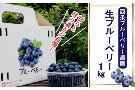 【先行予約】生ブルーベリー 1㎏  | フルーツ 果物 ベリー