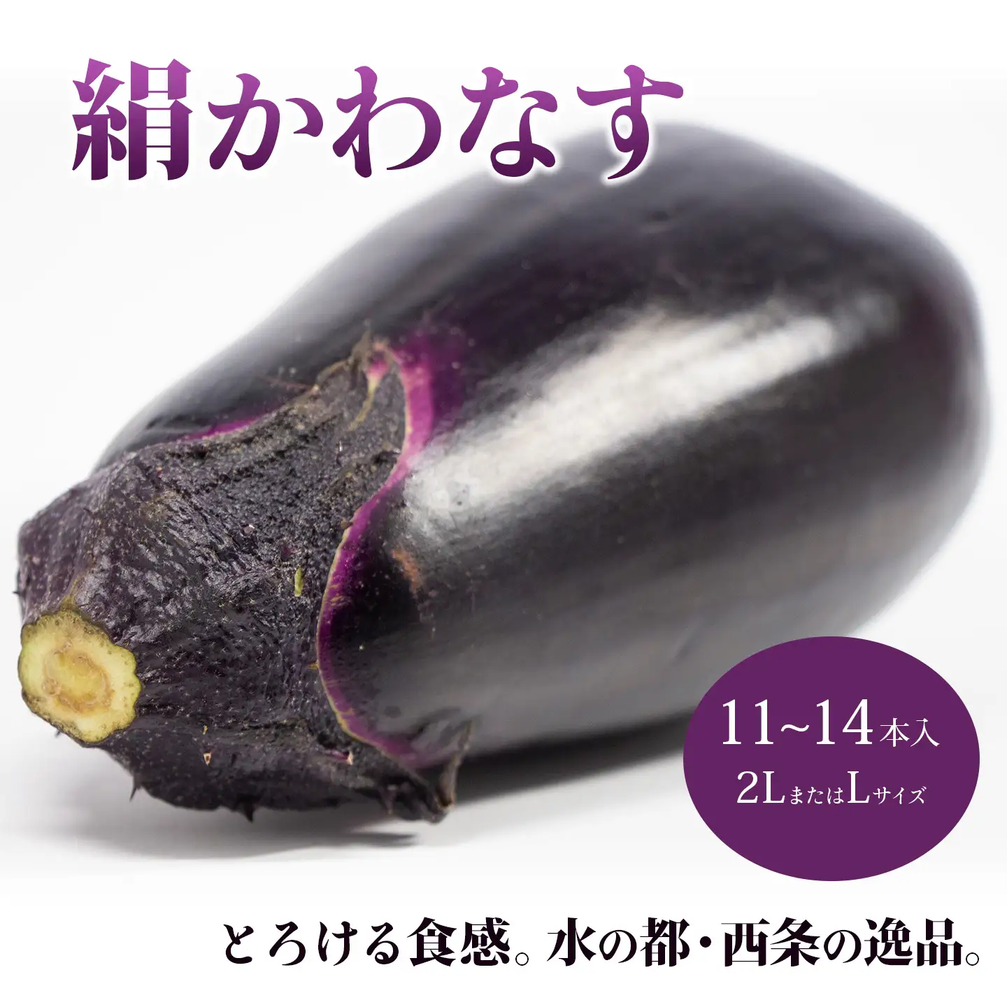 【茄子】絹かわなす 11～14本入り 6月中旬～7月発送 ナス 野菜