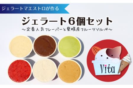 ジェラート６個セット（定番人気フレーバーと愛媛産フルーツソルベ）｜ ジェラート 食べ比べ
