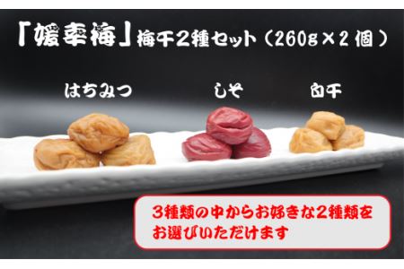 「媛幸梅」梅干2種セット（260g×2個）｜伊予南高梅