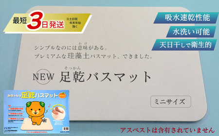 NEW 足乾（そっかん）バスマット_ミニサイズ｜ 珪藻土 マット