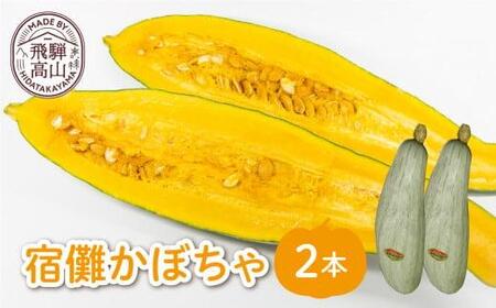 【数量限定】2026年 先行予約（9月頃より発送開始予定） 宿儺かぼちゃ 2本 | 南瓜 カボチャ 飛騨野菜 飛騨の特産品 野菜 数量限定 期間限定 飛騨高山 宿儺さま KA003