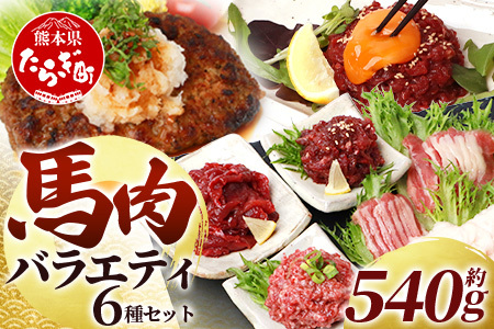 6種 馬肉 バラエティ 約540g タレ付き 本場 熊本 馬刺し 食べ比べ 031-0437