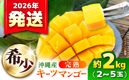 【先行予約 数量限定】 訳あり キーツマンゴー 約2kg (2〜5玉) マンゴー 沖縄 BCAA005