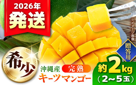 【先行予約 数量限定】 贈答用 キーツマンゴー 約2kg (2〜5玉 / 化粧箱入り) マンゴー 沖縄 BCAA006