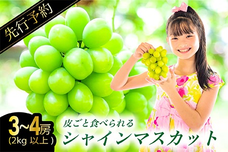 C-680 絶対鮮度！農家直送のシャインマスカット 3～4房（2kg以上）