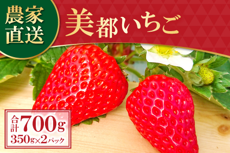 A-696 【初物！農家直送】美都いちご（350g×2パック）