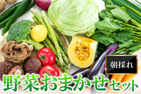 A-198 朝採れ地元  野菜おまかせセット