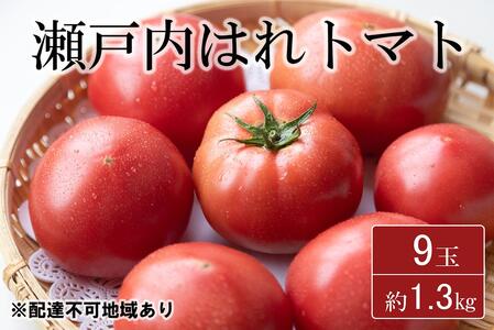 トマト 期間限定【産地直送】瀬戸内はれトマト（桃太郎トマト）9玉 約1.3kg