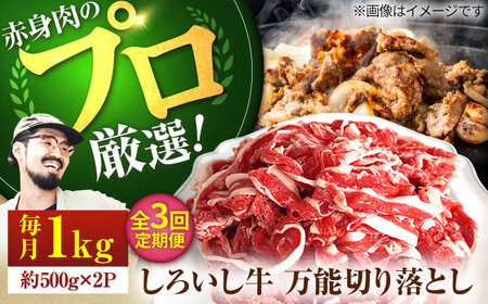 【3回定期便】 万能切落し 1000g / 牛肉切り落とし [IAH133]