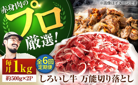 【6回定期便】 万能切落し 1000g / 牛肉切り落とし [IAH134]
