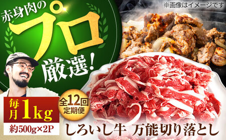 【12回定期便】 万能切落し 1000g / 牛肉切り落とし [IAH135]