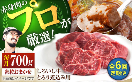 【6回定期便】 とろり煮込み用 700g/  牛肉 [IAH140]