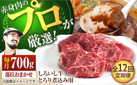 【12回定期便】 とろり煮込み用 700g / 牛肉 [IAH141]