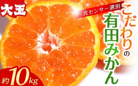 【大玉】みかん 有田みかん 約10kg【nuk139F】