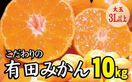 【農家直送】有田みかん 約10kg  大玉3L以上 有機質肥料100% ※2026年11月～12月に順次発送予定(お届け日指定不可)【nuk139F】