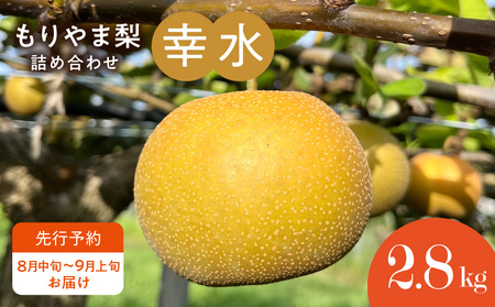 びわこもりやまフルーツランド  もりやま梨　幸水詰め合わせ  完熟採り　生産農家直送 CV-0012