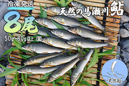 先行予約≪発送時期：2026年7月中旬～11月頃まで≫清流が育む天然の馬瀬川鮎 ８尾（１尾あたり重さ50g～80g以上 (混)  大・中・小セット）【26-3】