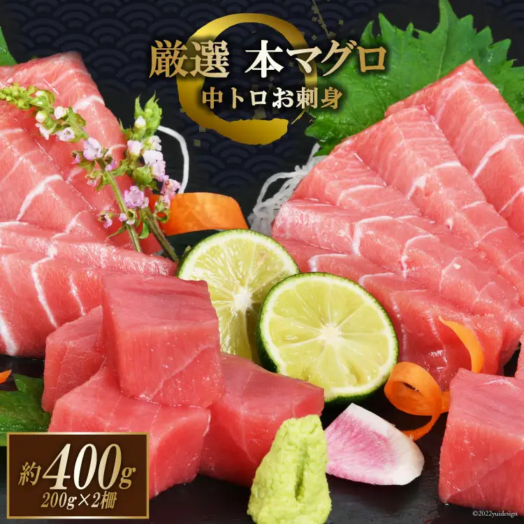 まぐろ 本マグロ背トロ 約400g(200g×2柵) [豊洋海産流通 宮城県 気仙沼市 20563371]