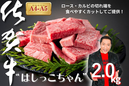 佐賀牛はしっこちゃん2000：B510-002
