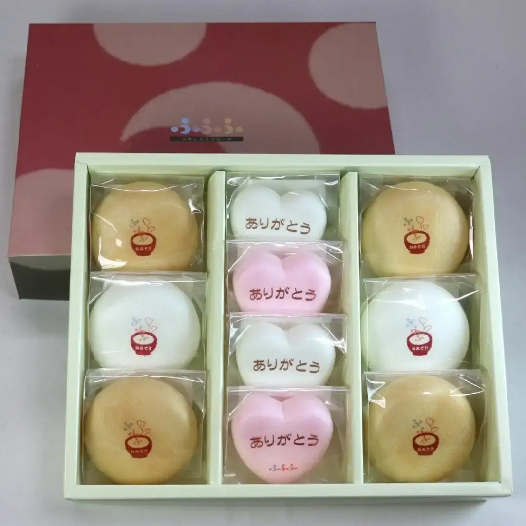 笑顔になれるお味噌汁ありがとう10個入りセット【010S102】