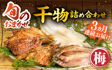 【全3回定期便】 旬の干物 おまかせ詰め合わせ《梅》（アジ・イワシ・イカなど）[JDR009]