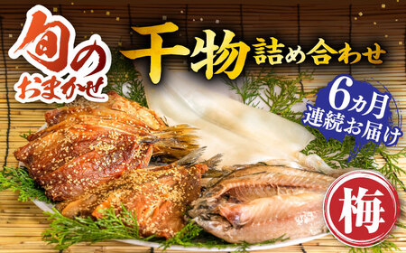 【全6回定期便】 旬の干物 おまかせ詰め合わせ《梅》（アジ・イワシ・イカなど）[JDR010]