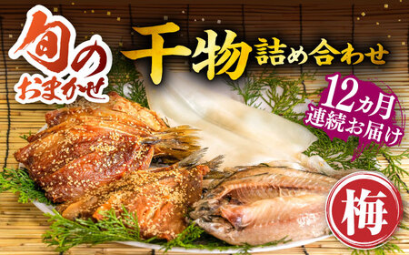 【全12回定期便】 旬の干物 おまかせ詰め合わせ《梅》（アジ・イワシ・イカなど）[JDR011]