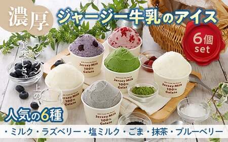【ジャージー牛乳使用】まきばのジャージーアイス人気スタンダードセット6個入り F21C-033