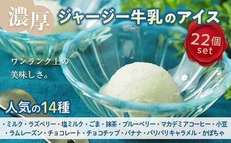 【ジャージー牛乳使用】まきばのジャージーアイス人気の14種22個セット F21C-037