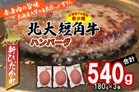  北海道産 北大 短角牛 ハンバーグ 計 540g (180g×3枚) 