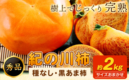紀の川柿 約2kg (種なし/黒あま柿) 秀品