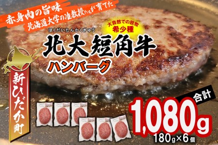 北海道産 北大 短角牛 ハンバーグ 計 1080g (180g×6枚) 