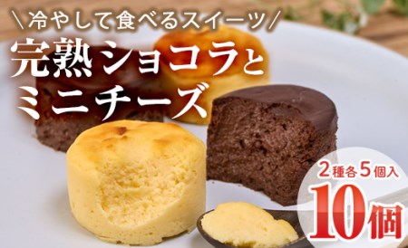 濃厚ショコラ・チーズケーキ (合計10個・2種×5個) チーズケーキ チーズ スイーツ 冷凍 お菓子 おやつ 焼き菓子 お取り寄せ 大分県 佐伯市【AJ75】【(有)ケーキ大使館クアンカ・ド－ネ】