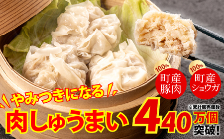 やみつきになる美味さ！旨味がギュッと凝縮された肉しゅうまい（計24）／Qak-A26 しゅうまい 焼売
