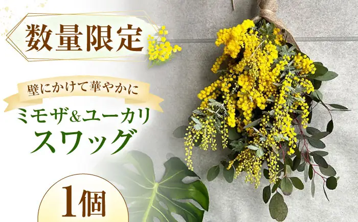雑貨 ユーカリとミモザのスワッグ BLAW001