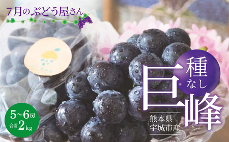 【先行予約】 巨峰 7月のぶどう屋さん 種なし巨峰 2kg 5～6房入 松川果樹園 【2026年7月上旬～8月上旬頃順次発送予定】